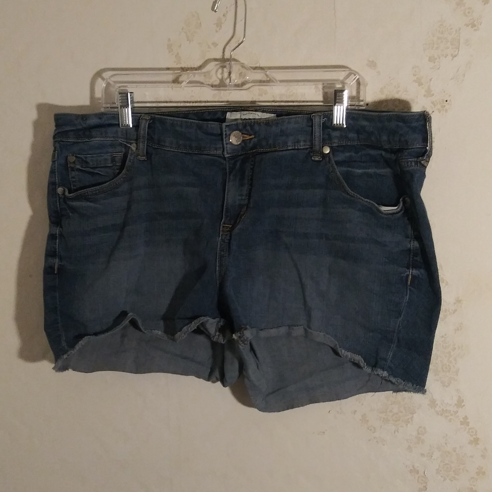 Torrid denim shorts